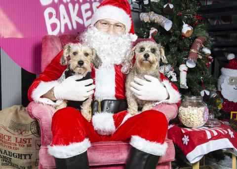 Santa Paws at The Barking Bakery